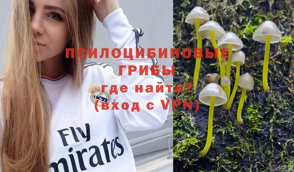 не бодяженный Аркадак