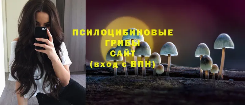 Псилоцибиновые грибы Psilocybe  hydra зеркало  Карасук 