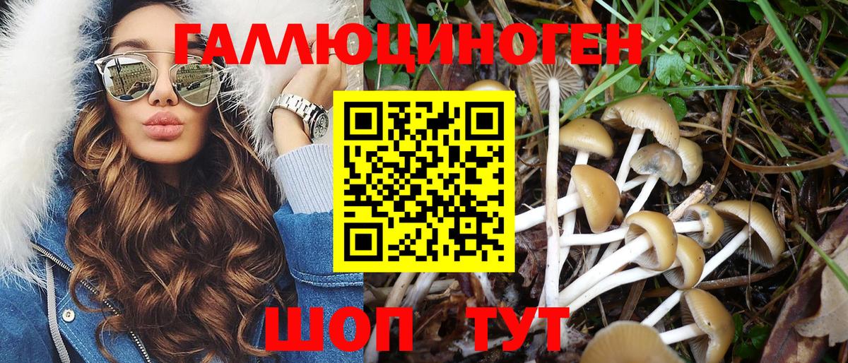 Карасук  Галлюциногенные грибы мицелий  Вход с VPN 